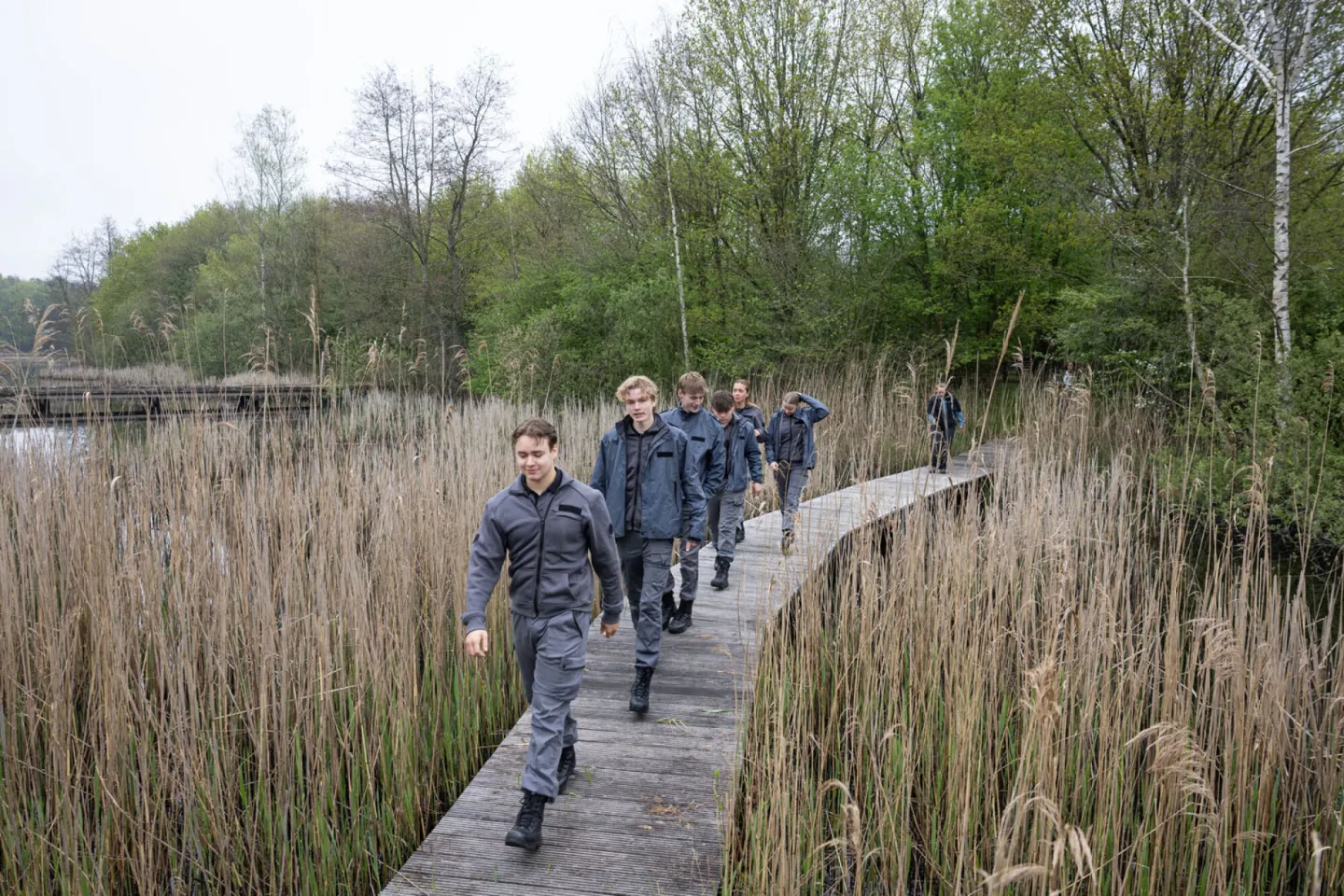 Studenten HTV lopen mee met boswachter in natuurgebied