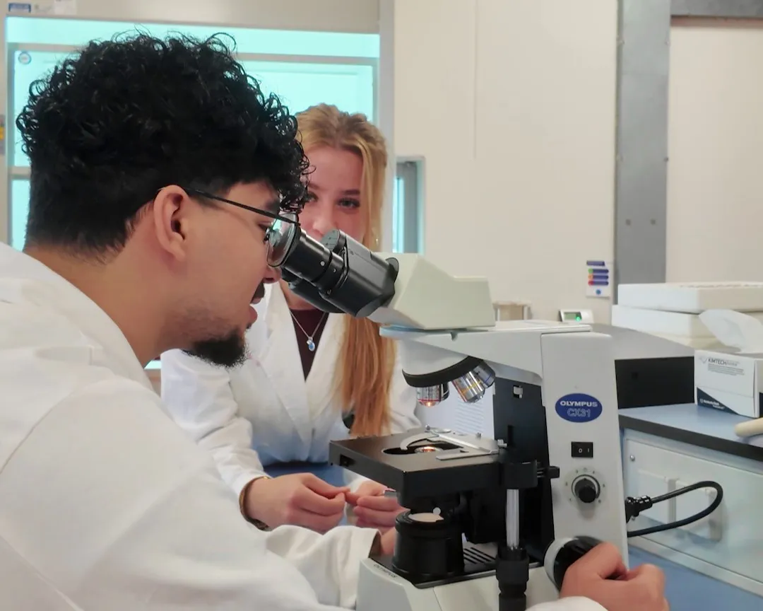 Studenten Laboratoriumonderwijs werken met een microscoop